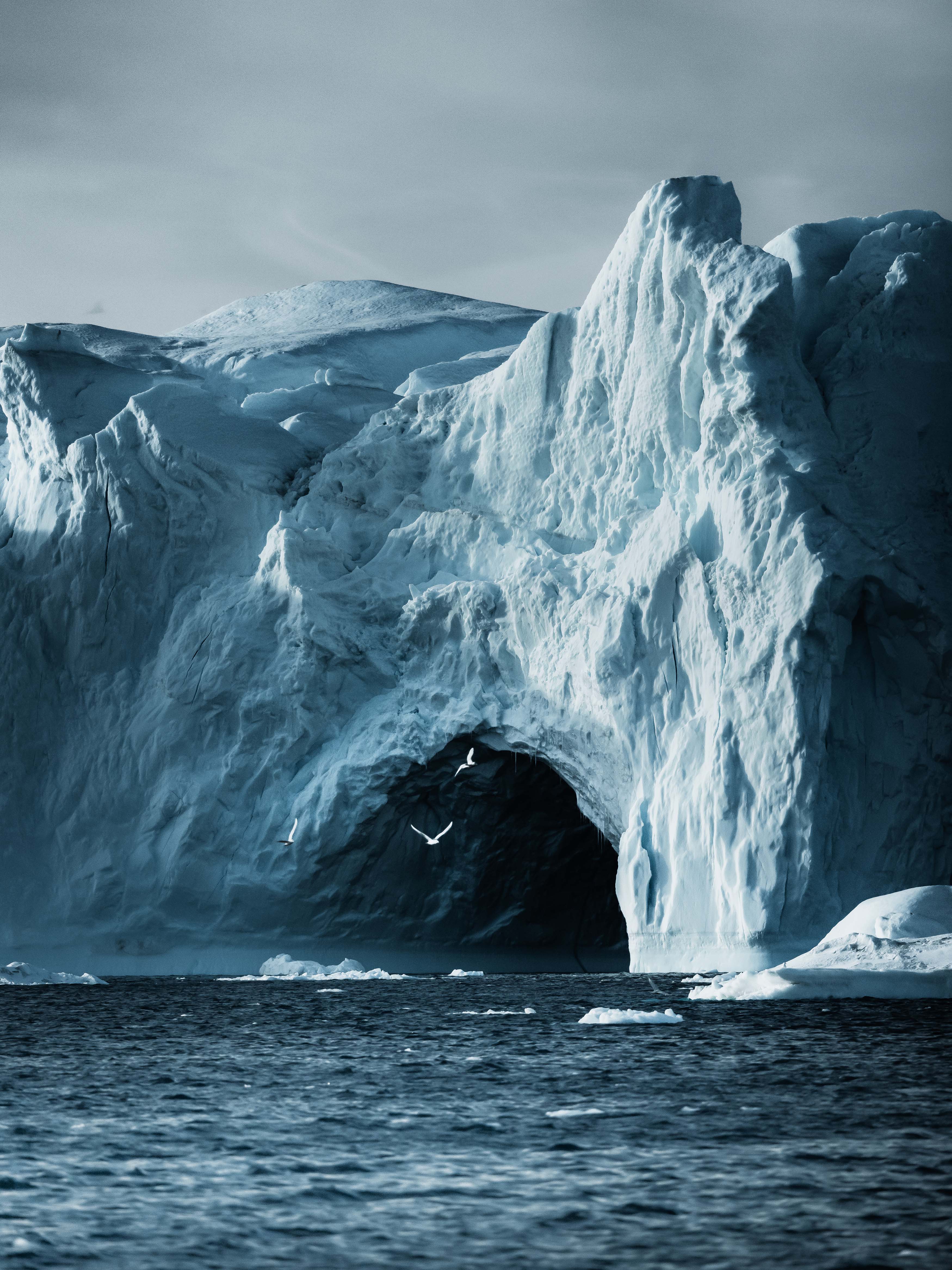 Ísfjörðurinn / The Icefjord