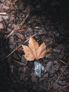 Lightroom Presets: AUTUMN COLLECTION + editing tutorial